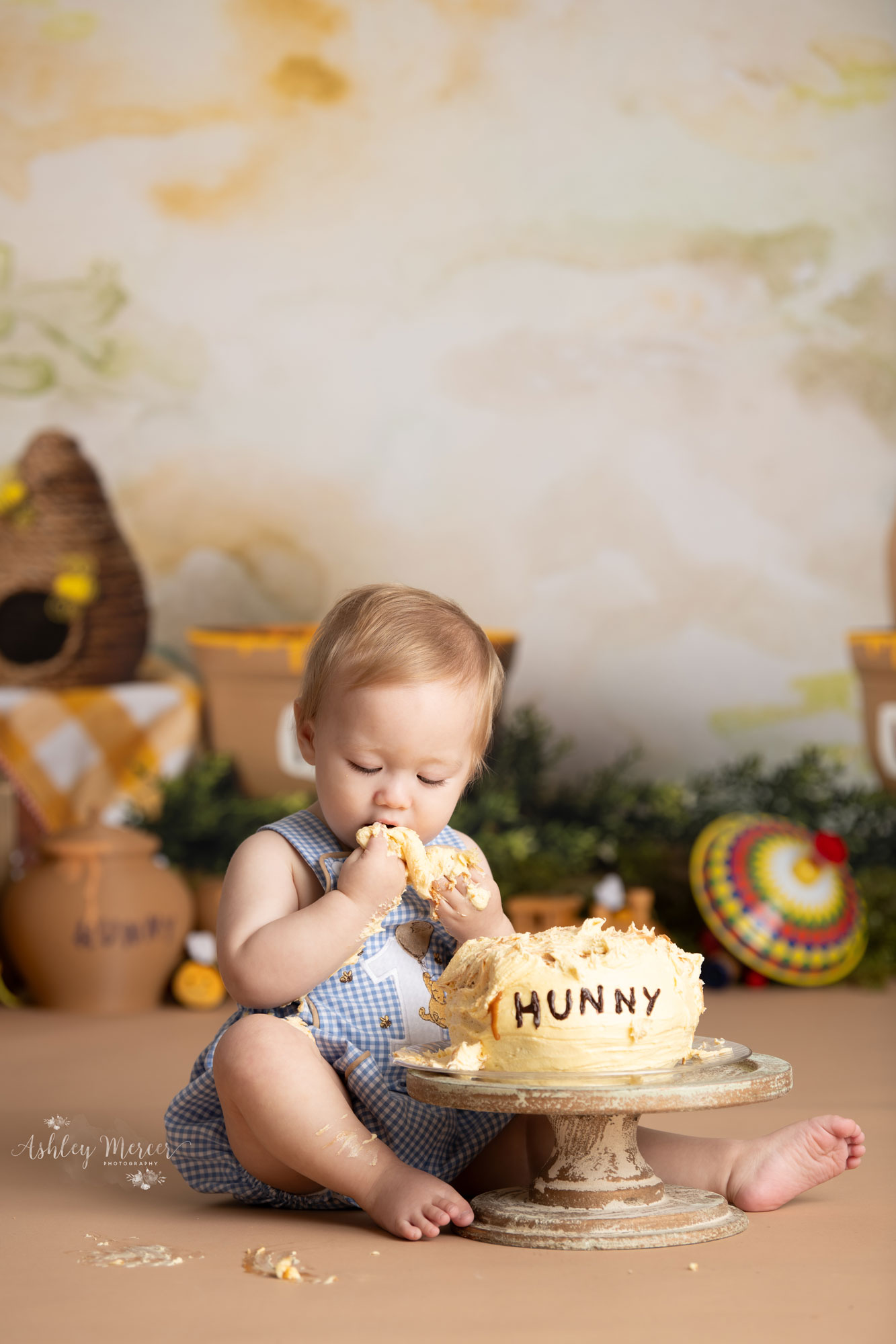 Winnie the Pooh themed cakesmash session with one year old boy
